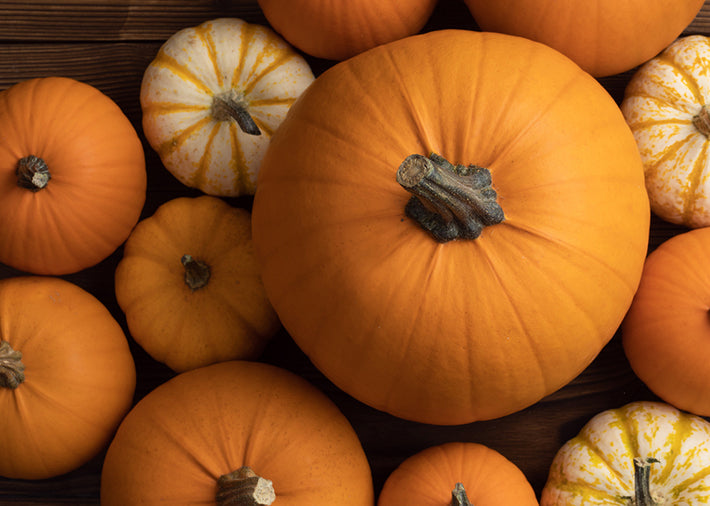 The Incredible Edible Great Pumpkin