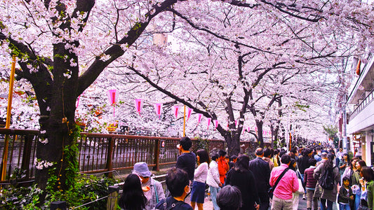 How to Celebrate Spring Outside the U.S.