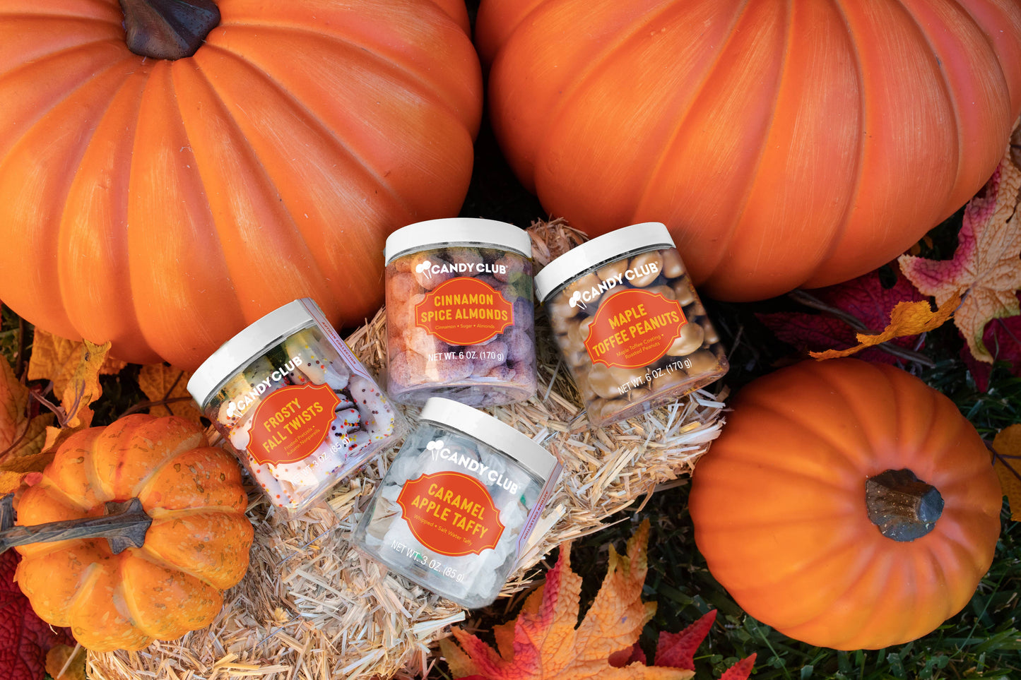 Candy Club - Cinnamon Spice Almonds *AUTUMN COLLECTION*
