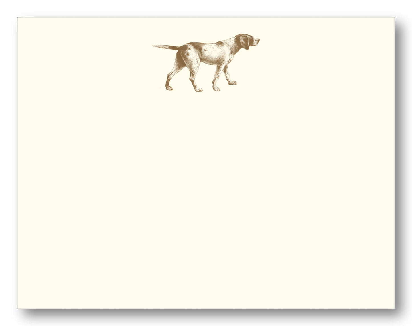 Maison de Papier - Pointer Chocolate FCE
