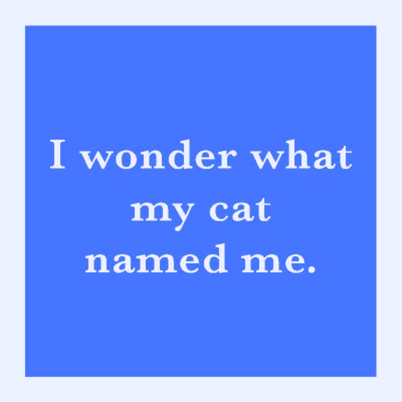 Drinks on Me - Cat Named Me