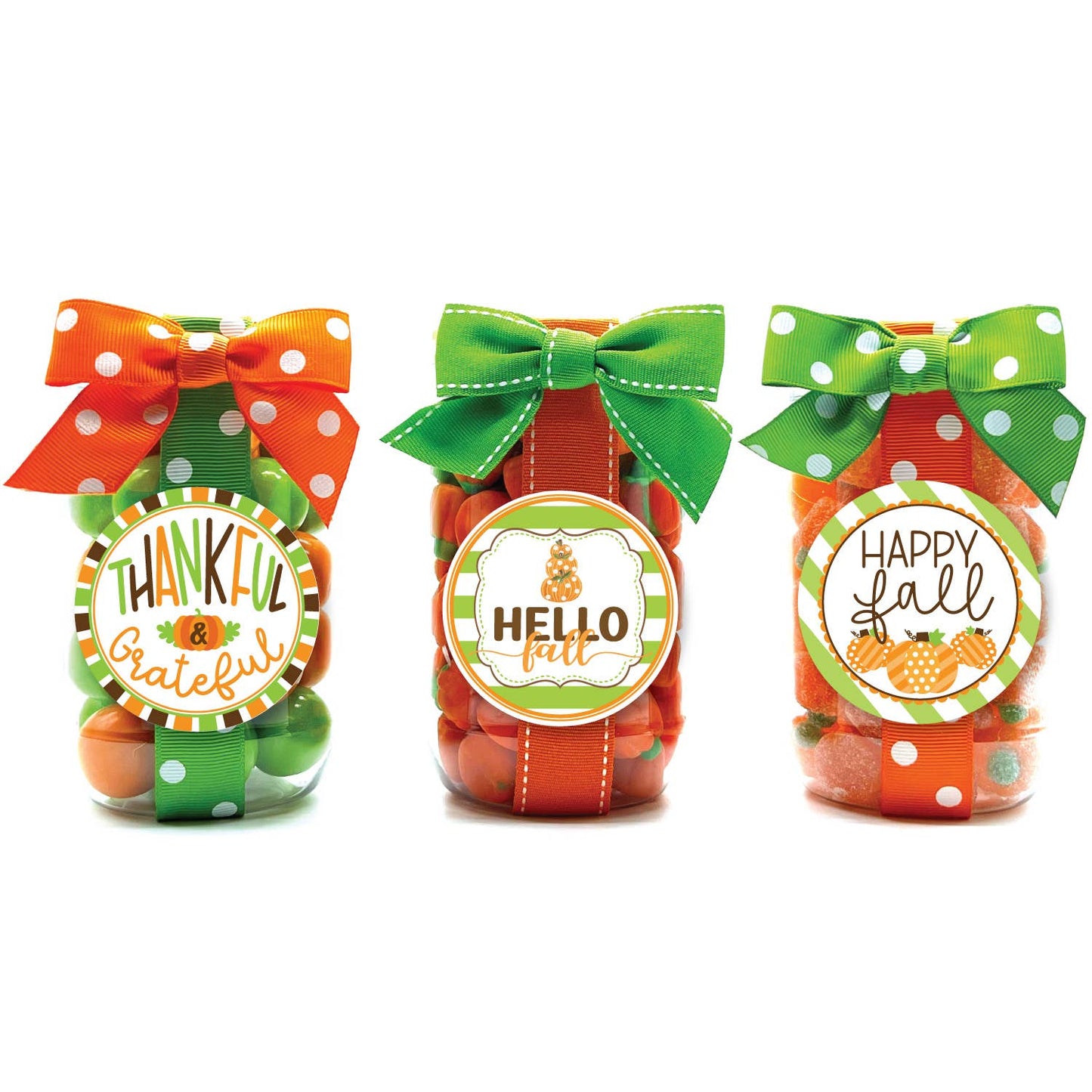 Oh, Sugar! - Fall Candy Plastic Pint Jars Assortment #2