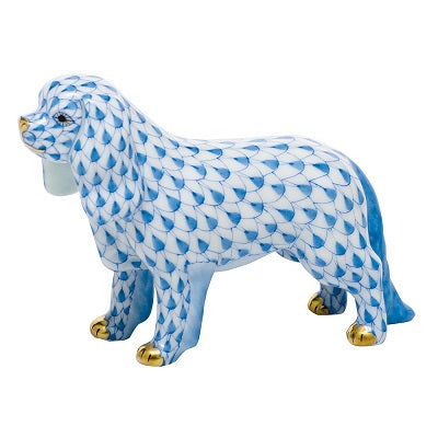 Cav King Charles Spaniel Blue