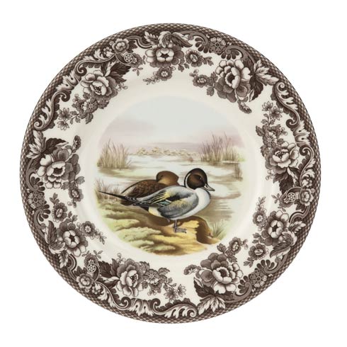 10-5-inch-dinner-plate-pintail