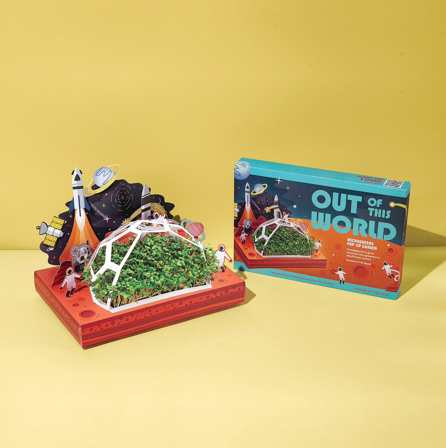 Modern Sprout - Microgreens - Out of This World
