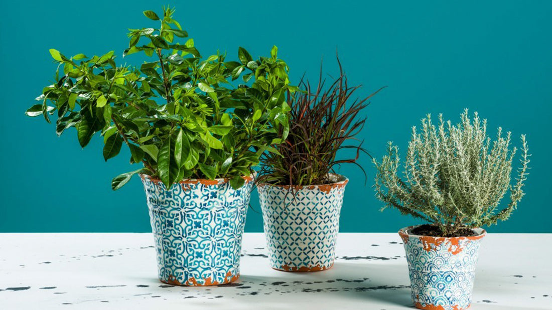 5 Garden Decorations to Jazz up Any Outdoor Space