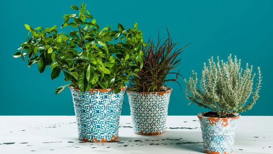 5 Garden Decorations to Jazz up Any Outdoor Space
