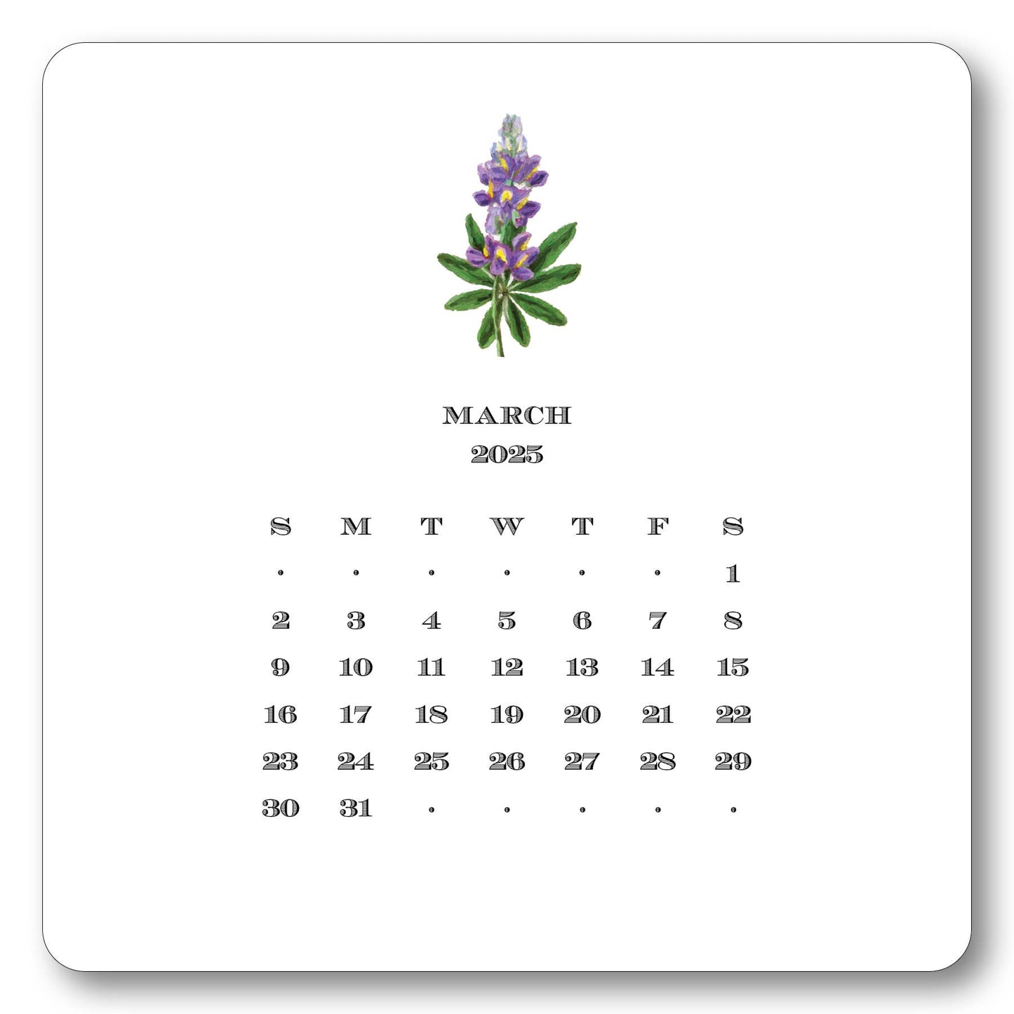 Maison de Papier - 2025 Texas Calendar with Easel