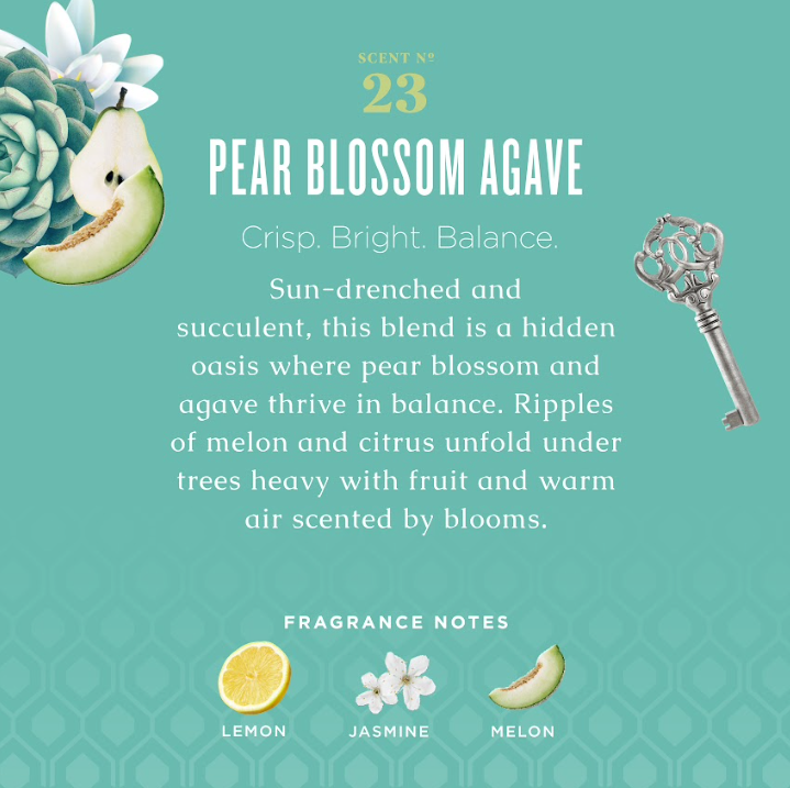 Caldrea - Pear Blossom Agave Dish Soap with Soap Bark & Aloe Vera