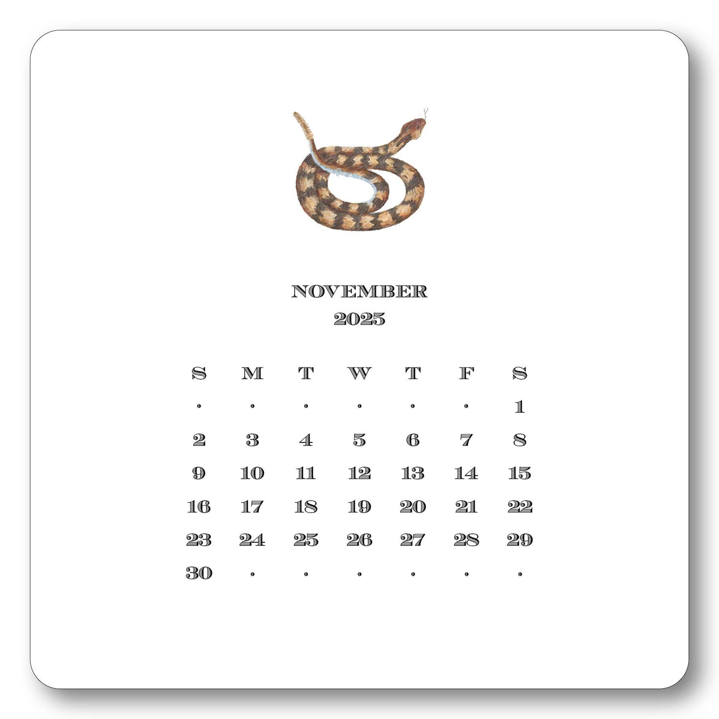 Maison de Papier - 2025 Texas Calendar with Easel