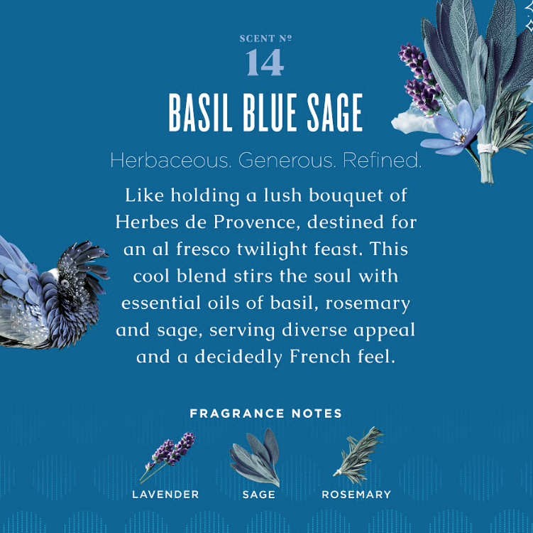 Caldrea - Blue Basil Sage Biodegradable Dish Soap with Bark & Aloe