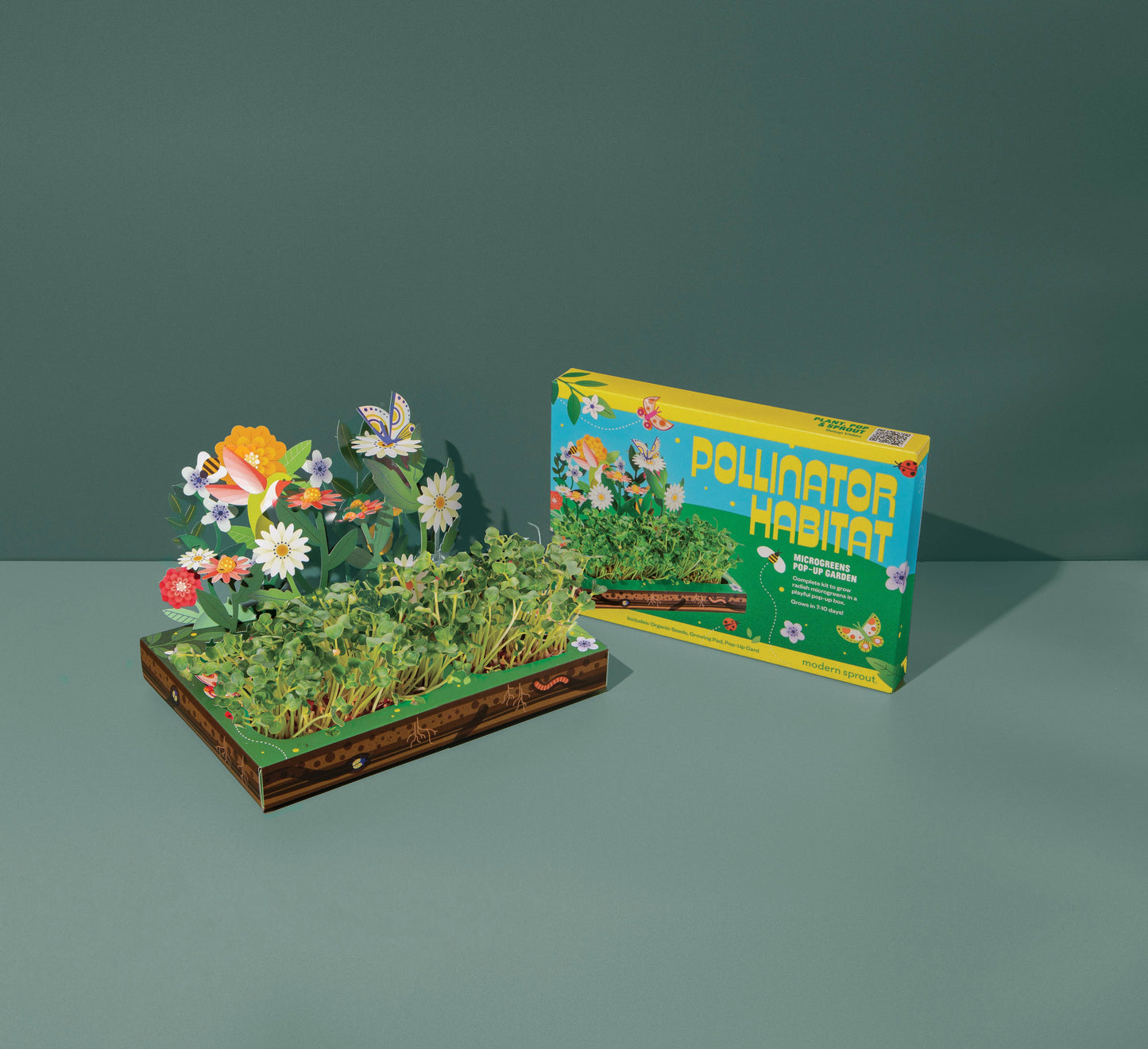 Modern Sprout - Microgreens - Pollinator