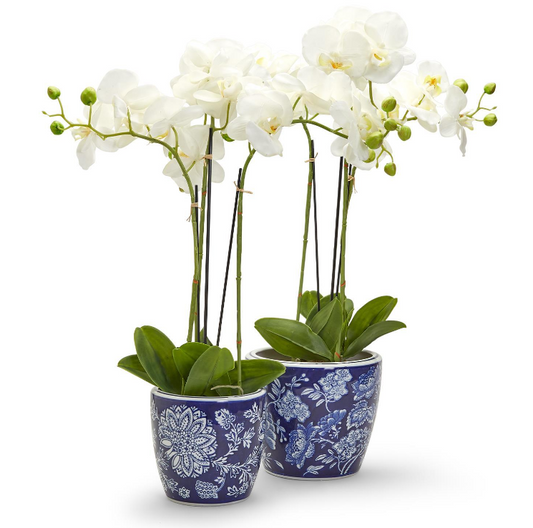 Blue & White Painted Planter Set of 2